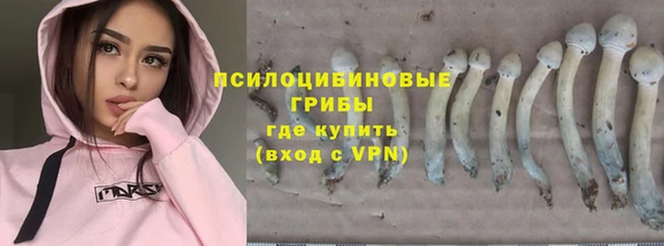героин Алексин